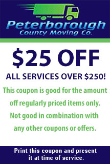 $25 Off All Services Over $250